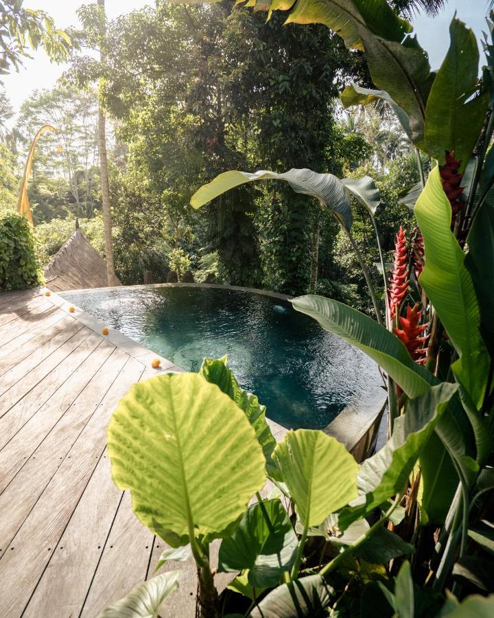 Basundari Retreat Ubud Hotel Luaran gambar